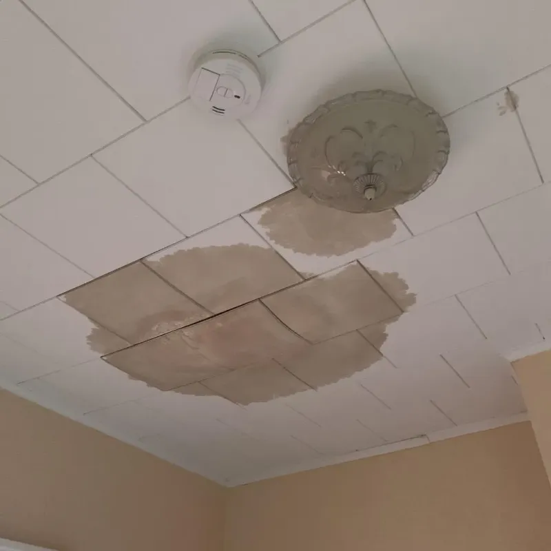 Ceiling Water Damage Repair in Gray, LA